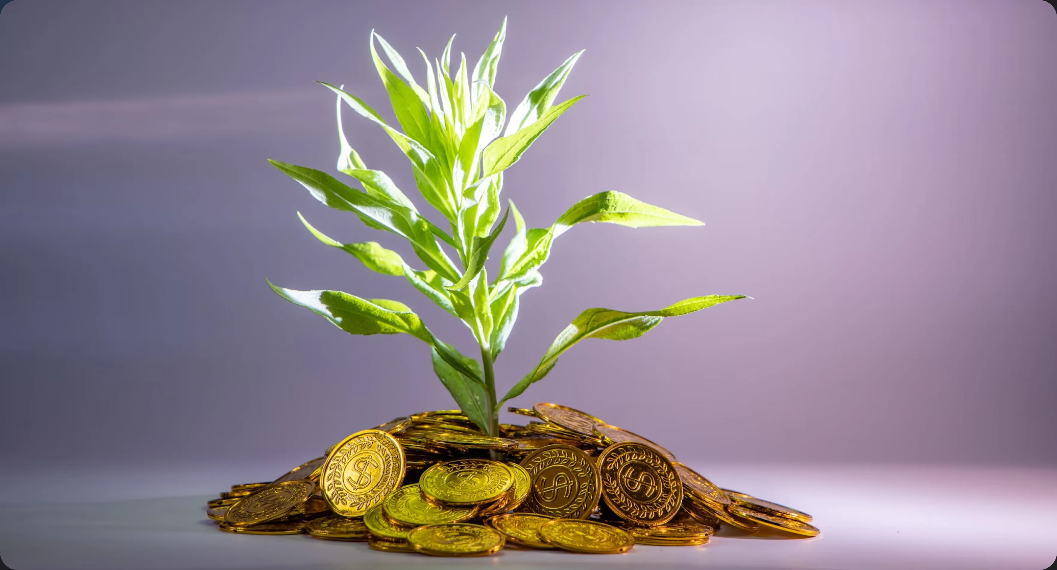 How Smart Capital Deployment banner